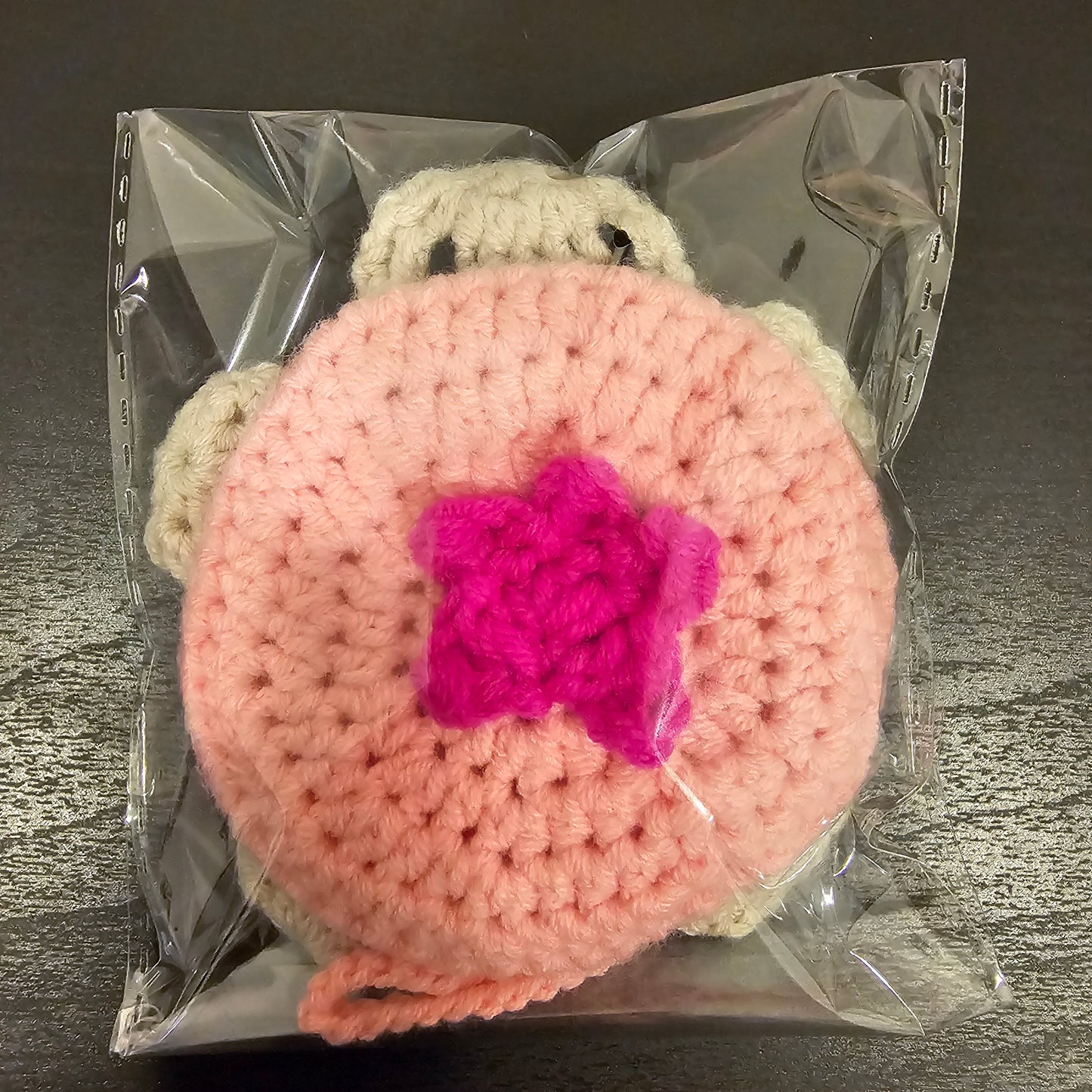 Turtle Pouch